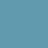 16-4519 delphinium blue