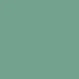 16-5919 creme de menthe
