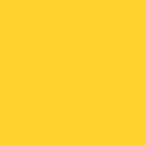 13-0758 dandelion