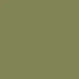18-0525 iguana