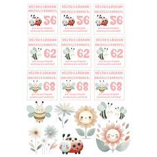 Růžový DTF arch A5 s velikostními nažehlovačkami 56–62–68 a motivy berušek, včelek a květin.