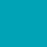 16-4834 bluebird
