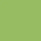 14-0244 bright lime green