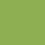15-0341 parrot green