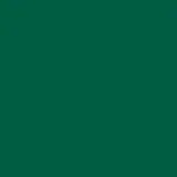 19-6027 green jacket