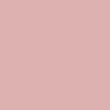 14-1508 silver pink