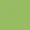 14-0244 bright lime green