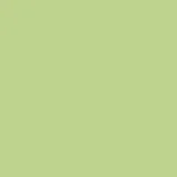 13-0324 lettuce green
