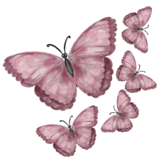DTF nažehlovačka set motýlků – růžoví motýlci v pastelových tónech, design OliVe