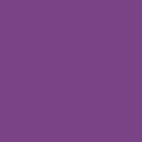 19-3438 bright violet